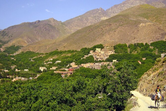 Waterfalls, Three valleys, Atlas Montains, Camels & Desert - Three Valleys: Tahanout, Asni, Lalla Takarkoust, and Imlil