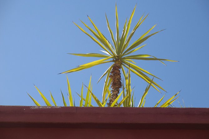 Yoga and Wellness Half-Day in an Authentic Marrakech Riad - Value check: is $110.34 worth it for Marrakech yoga, massage, and lunch?
