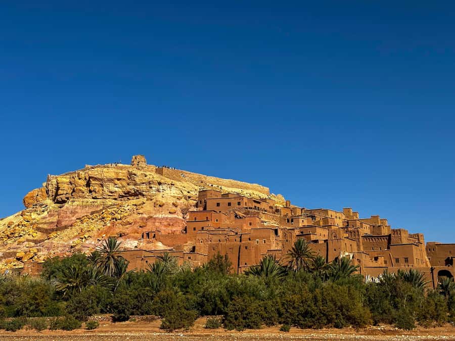 Zagora Desert: 2-Day 1-Night Desert Expedition to Remember - Camel Comfort and Cold Camp Packing List (Do This, Thank Yourself Later)