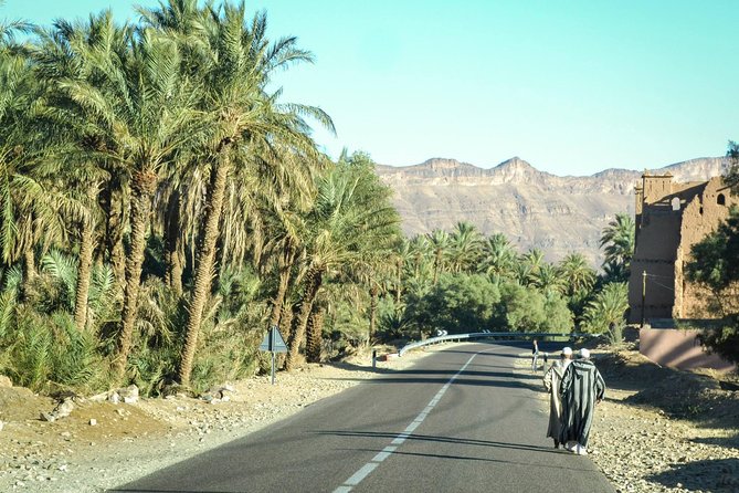 Zagora Desert and Draa Valley Day Trip From Ouarzazate - A First Look at the Drâa Valley and Zagora in One Long Morning