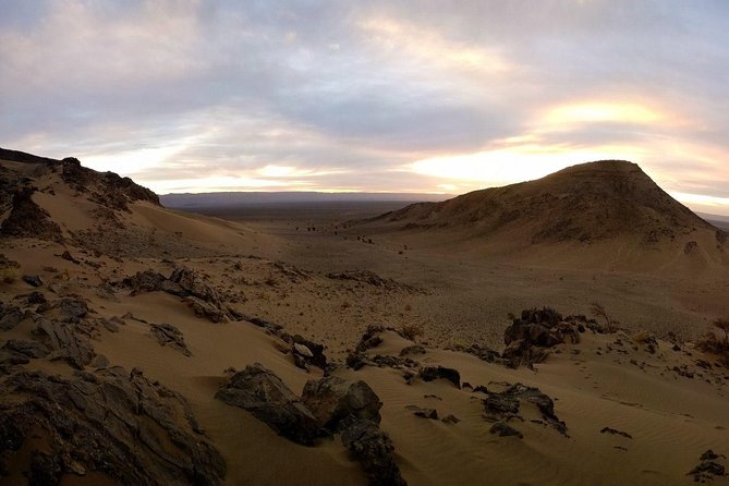 Zagora Desert and Draa Valley Day Trip From Ouarzazate - Lunch in Zagora: Fuel for Sand Time Without Overthinking It