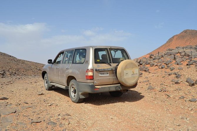 Zagora Desert and Draa Valley Day Trip From Ouarzazate - Price and Logistics: Is $139.04 Good Value?
