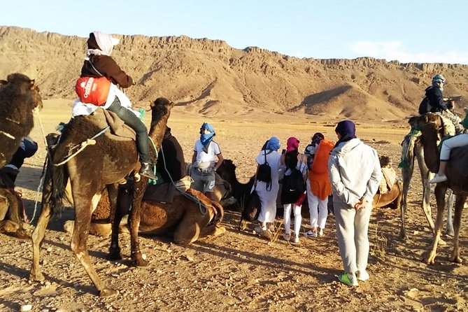Zagora Desert Highlights: Guided 2-Day Tour from Marrakech - Atlas Mountains to Ouarzazate: turning the road into part of the experience